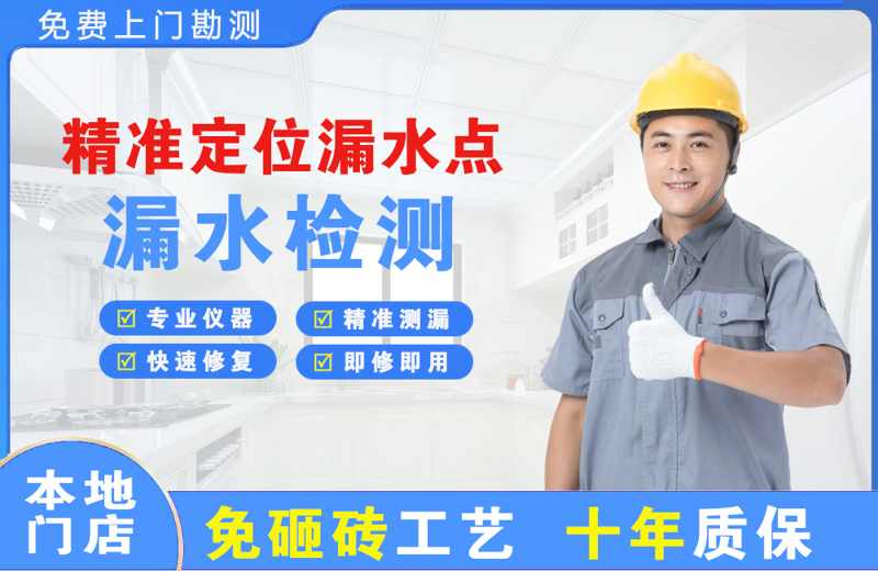 道真精准测漏点